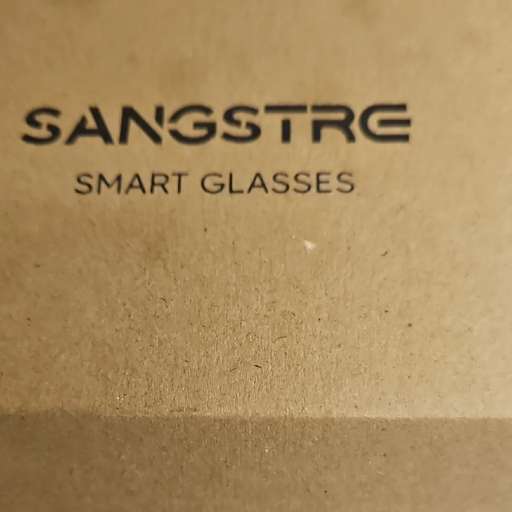 Sangstre Black Audio Smart Glasses with Gray Case